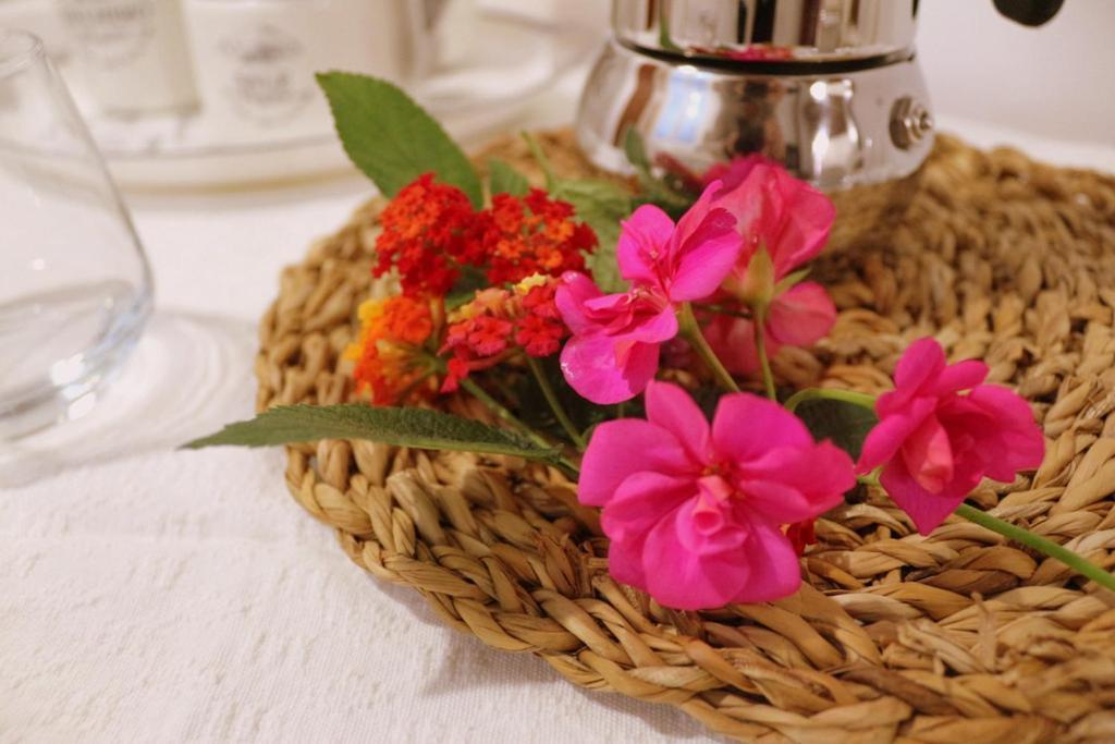 Virgilio House Apartment Cagliari